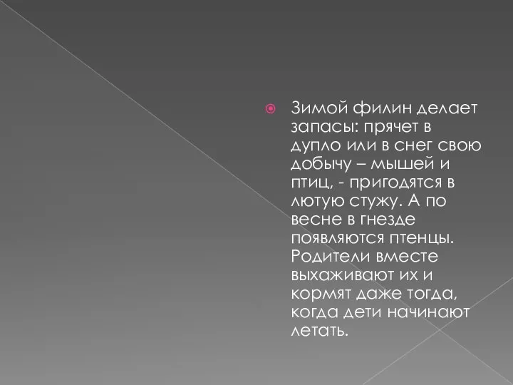 Зимой филин делает запасы: прячет в дупло или в снег свою добычу