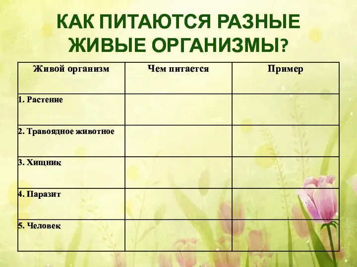 КАК ПИТАЮТСЯ РАЗНЫЕ ЖИВЫЕ ОРГАНИЗМЫ?