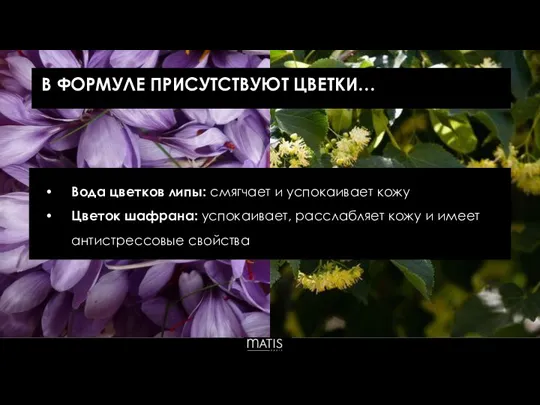 Вода цветков липы: смягчает и успокаивает кожу Цветок шафрана: успокаивает, расслабляет кожу