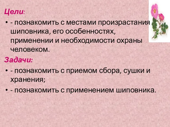 Цели: - познакомить с местами произрастания шиповника, его особенностях, применении и необходимости