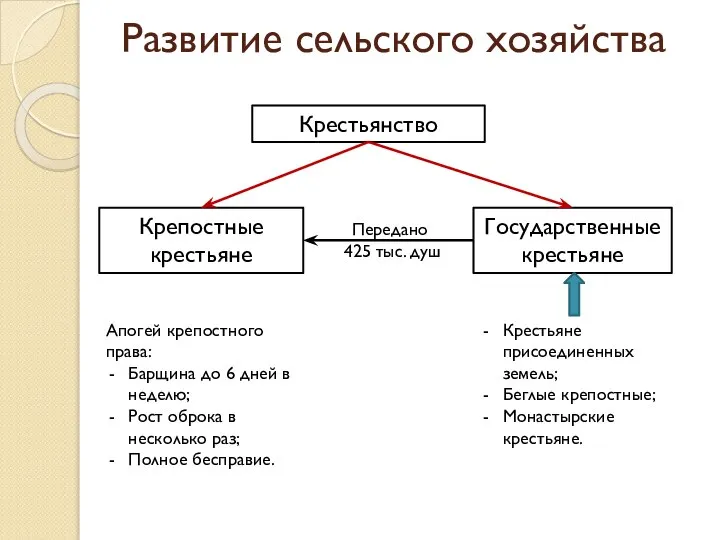 Развитие сельского хозяйства Крестьянство Крепостные крестьяне Государственные крестьяне Крестьяне присоединенных земель; Беглые