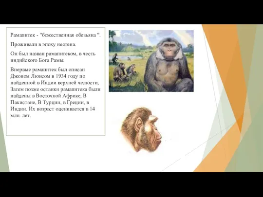 Рамапитек - "божественная обезьяна ". Проживали в эпоху неогена. Он был назван