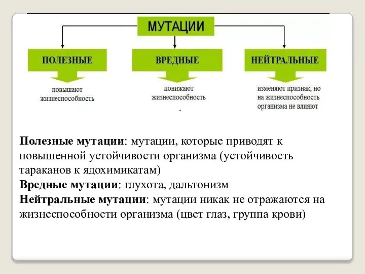 Полезные мутации: мутации, которые приводят к повышенной устойчивости организма (устойчивость тараканов к