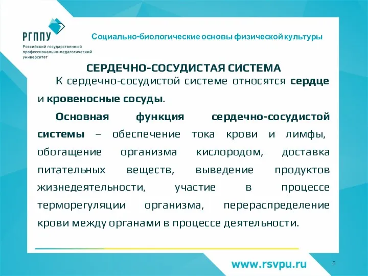 Социально-биологические основы физической культуры СЕРДЕЧНО-СОСУДИСТАЯ СИСТЕМА К сердечно-сосудистой системе относятся сердце и