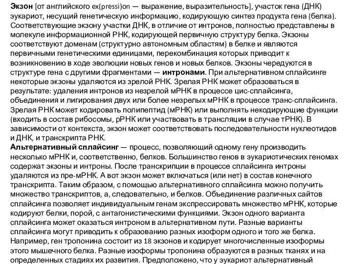 Экзон [от английского ex(pressi)on — выражение, выразительность], участок гена (ДНК) эукариот, несущий