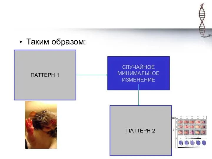 Таким образом: ПАТТЕРН 1 СЛУЧАЙНОЕ МИНИМАЛЬНОЕ ИЗМЕНЕНИЕ ПАТТЕРН 2