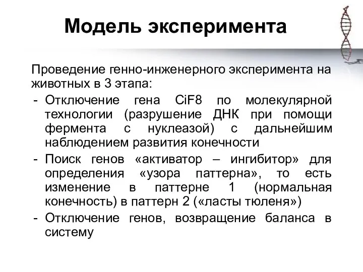 Модель эксперимента Проведение генно-инженерного эксперимента на животных в 3 этапа: Отключение гена