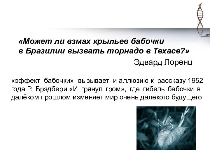 «Может ли взмах крыльев бабочки в Бразилии вызвать торнадо в Техасе?» Эдвард