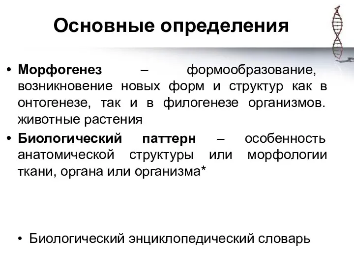 Основные определения Морфогенез – формообразование, возникновение новых форм и структур как в