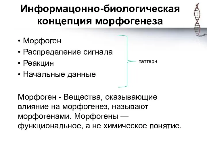 Информацонно-биологическая концепция морфогенеза • Морфоген • Распределение сигнала • Реакция • Начальные