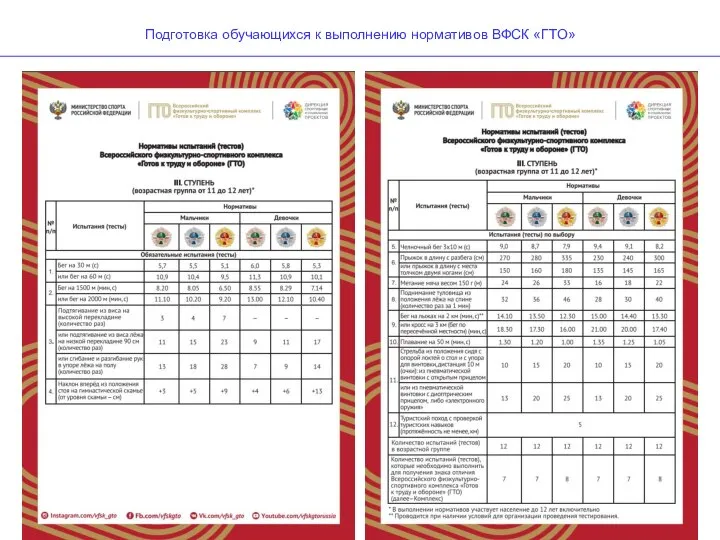 Подготовка обучающихся к выполнению нормативов ВФСК «ГТО»