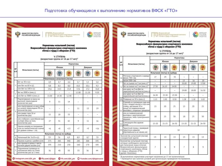 Подготовка обучающихся к выполнению нормативов ВФСК «ГТО»