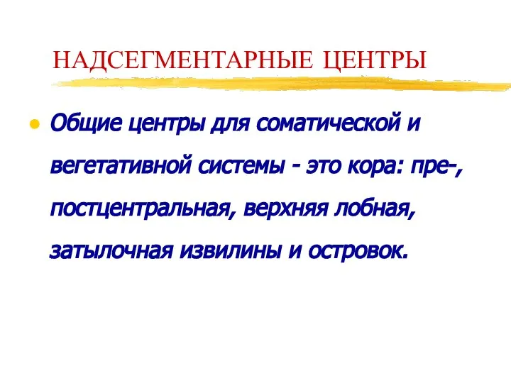 НАДСЕГМЕНТАРНЫЕ ЦЕНТРЫ Общие центры для соматической и вегетативной системы - это кора: