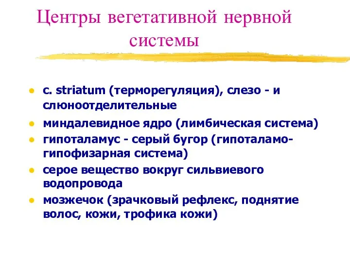 Центры вегетативной нервной системы с. striatum (терморегуляция), слезо - и слюноотделительные миндалевидное