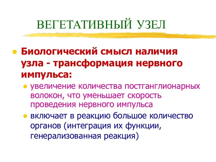 ВЕГЕТАТИВНЫЙ УЗЕЛ Биологический смысл наличия узла - трансформация нервного импульса: увеличение количества