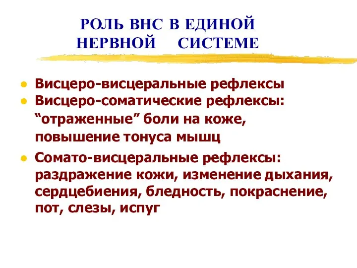 РОЛЬ ВНС В ЕДИНОЙ НЕРВНОЙ СИСТЕМЕ Висцеро-висцеральные рефлексы Висцеро-соматические рефлексы: “отраженные” боли