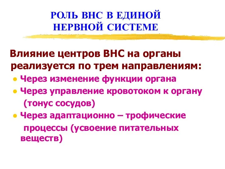 РОЛЬ ВНС В ЕДИНОЙ НЕРВНОЙ СИСТЕМЕ Влияние центров ВНС на органы реализуется