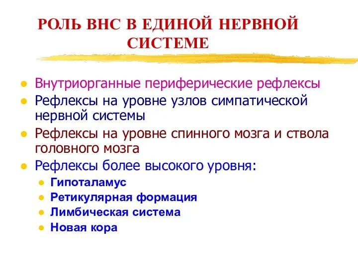 РОЛЬ ВНС В ЕДИНОЙ НЕРВНОЙ СИСТЕМЕ Внутриорганные периферические рефлексы Рефлексы на уровне