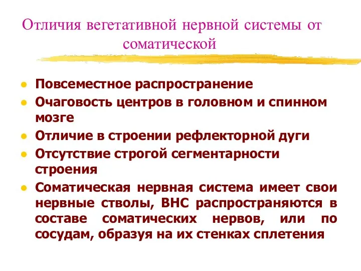 Отличия вегетативной нервной системы от соматической Повсеместное распространение Очаговость центров в головном