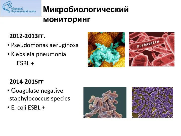 Микробиологический мониторинг 2012-2013гг. Pseudomonas aeruginosa Klebsiela pneumonia ESBL + 2014-2015гг Сoagulase negative