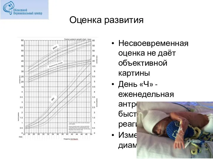 Оценка развития Несвоевременная оценка не даёт объективной картины День «Ч» - еженедельная