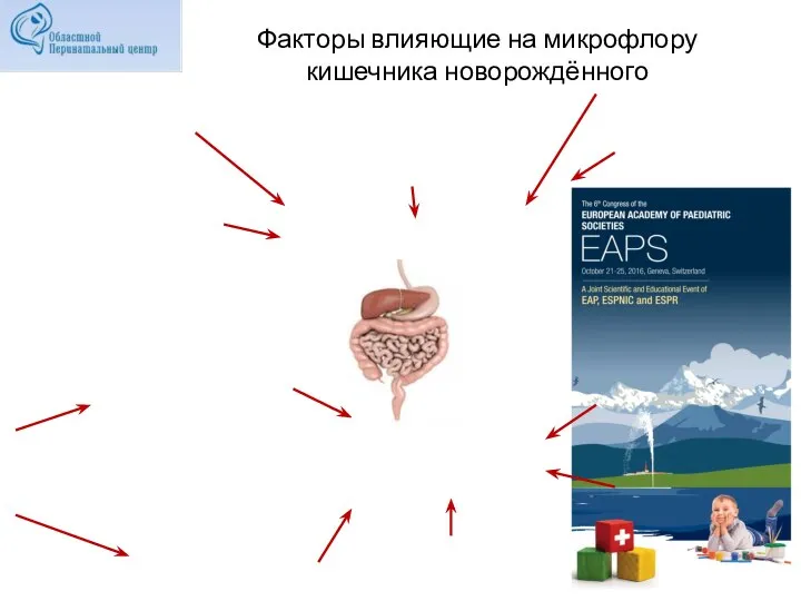 Факторы влияющие на микрофлору кишечника новорождённого