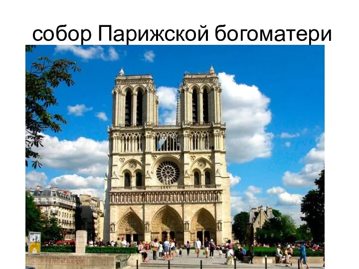собор Парижской богоматери