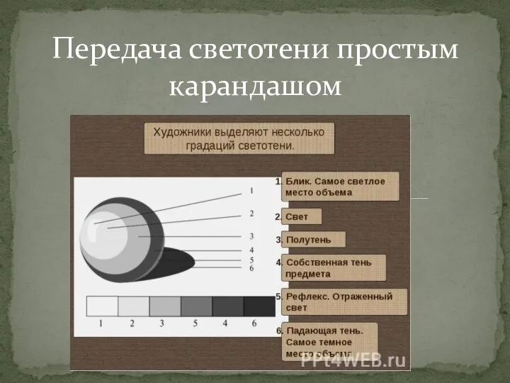 Передача светотени простым карандашом