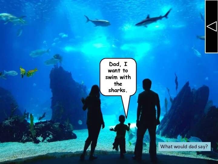 Dad, I want to swim with the sharks. What would dad say?