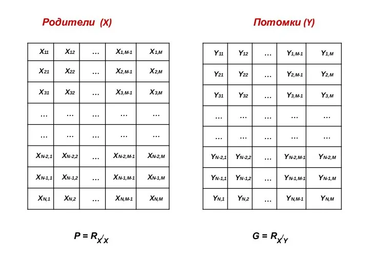 Родители (X) Потомки (Y) P = RX/X G = RX/Y