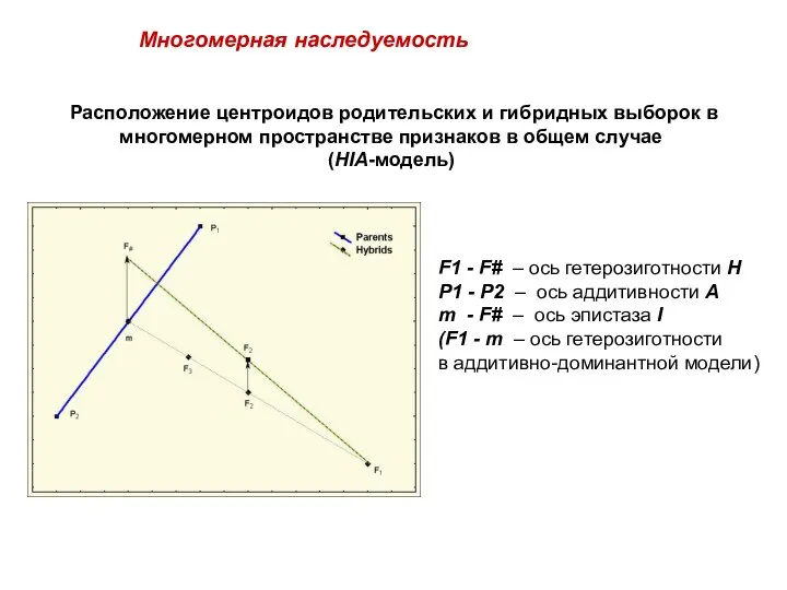 F1 - F# – ось гетерозиготности H P1 - P2 – ось