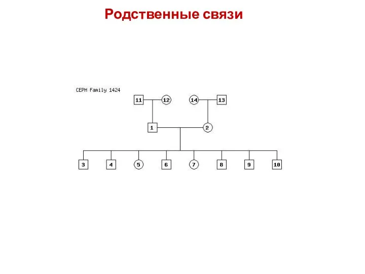 Родственные связи