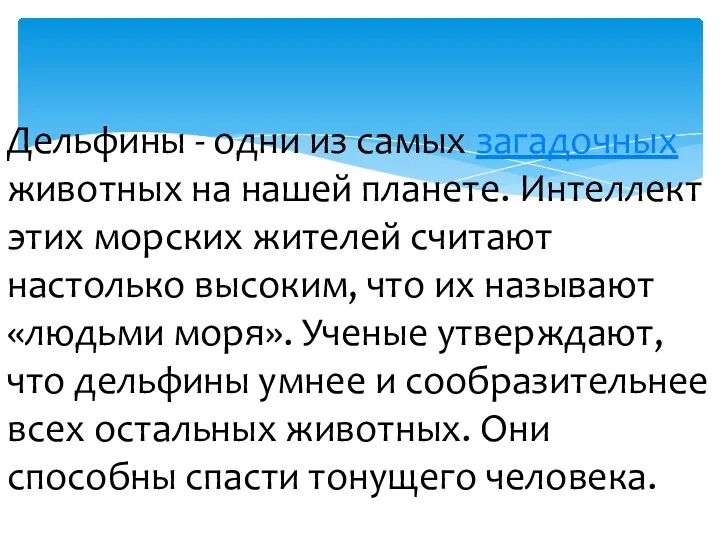 Дельфины - одни из самых загадочных животных на нашей планете. Интеллект этих