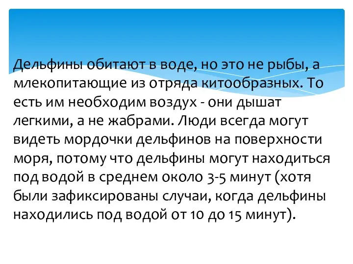 Дельфины обитают в воде, но это не рыбы, а млекопитающие из отряда