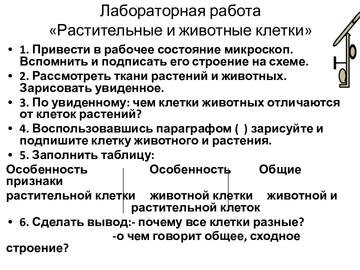 Лабораторная работа «Растительные и животные клетки» 1. Привести в рабочее состояние микроскоп.