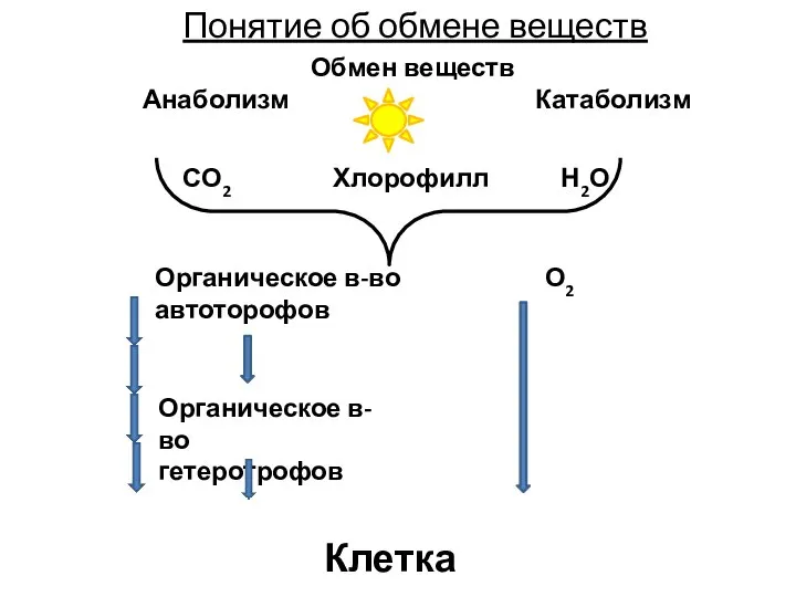 Понятие об обмене веществ Обмен веществ Анаболизм Катаболизм СО2 Хлорофилл Н2О Органическое