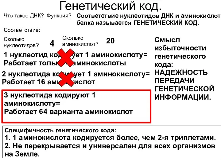 Генетический код. Что такое ДНК? Функция? Соответствие нуклеотидов ДНК и аминокислот белка