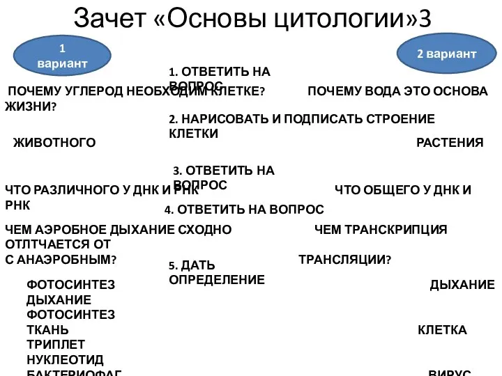 Зачет «Основы цитологии»3 1 вариант 2 вариант 1. ОТВЕТИТЬ НА ВОПРОС ПОЧЕМУ