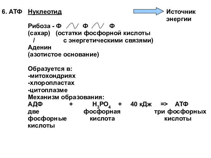 6. АТФ Нуклеотид Рибоза - Ф Ф Ф (сахар) (остатки фосфорной кислоты