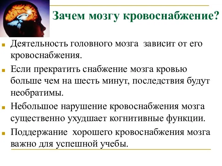 Зачем мозгу кровоснабжение? Деятельность головного мозга зависит от его кровоснабжения. Если прекратить