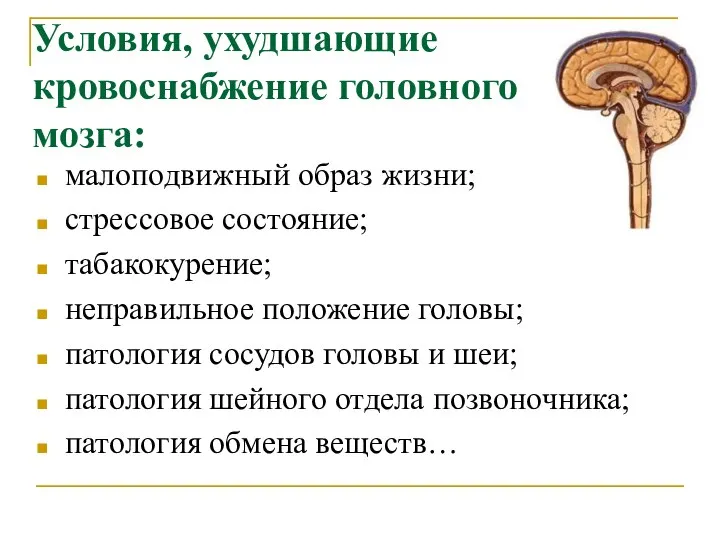 Условия, ухудшающие кровоснабжение головного мозга: малоподвижный образ жизни; стрессовое состояние; табакокурение; неправильное