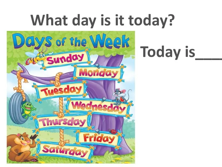 What day is it today? Today is____