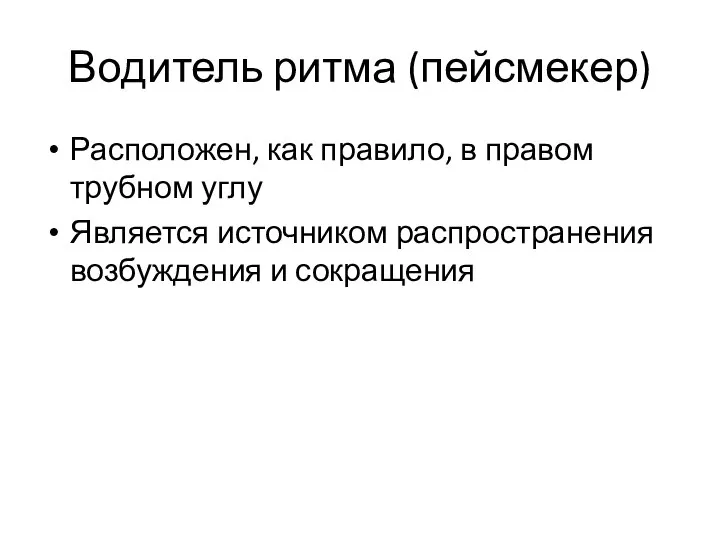 Водитель ритма (пейсмекер) Расположен, как правило, в правом трубном углу Является источником распространения возбуждения и сокращения