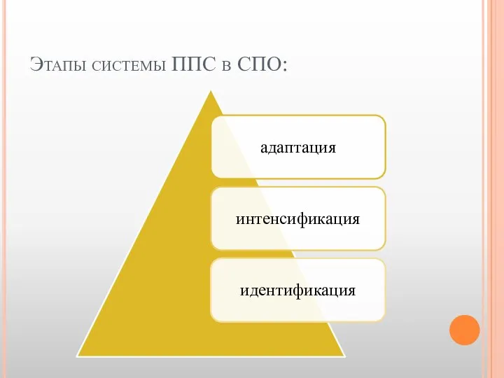 Этапы системы ППС в СПО: