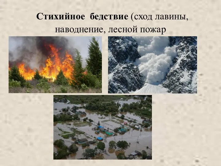 Стихийное бедствие (сход лавины, наводнение, лесной пожар