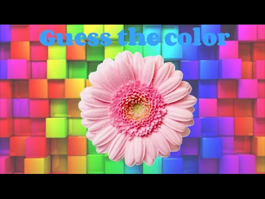 Guess the color