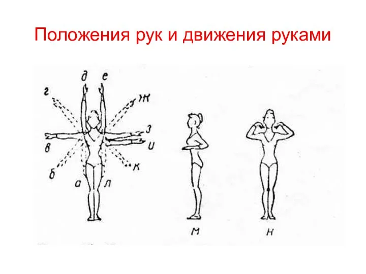 Положения рук и движения руками