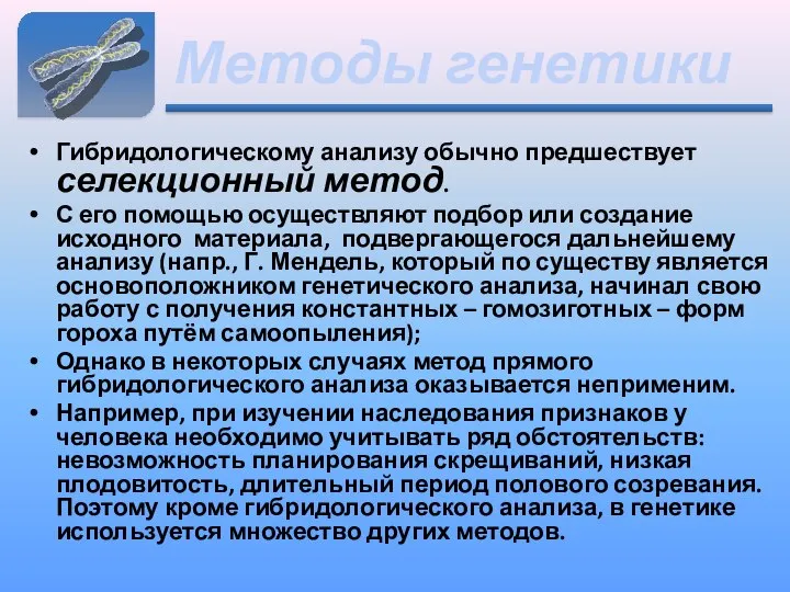 Методы генетики Гибридологическому анализу обычно предшествует селекционный метод. С его помощью осуществляют