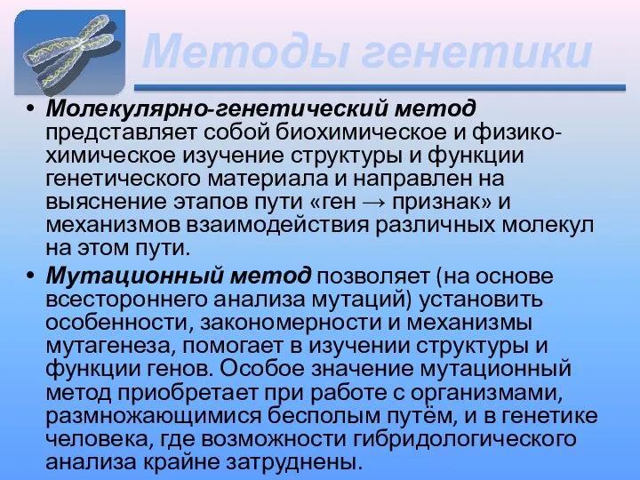 Методы генетики Молекулярно-генетический метод представляет собой биохимическое и физико-химическое изучение структуры и