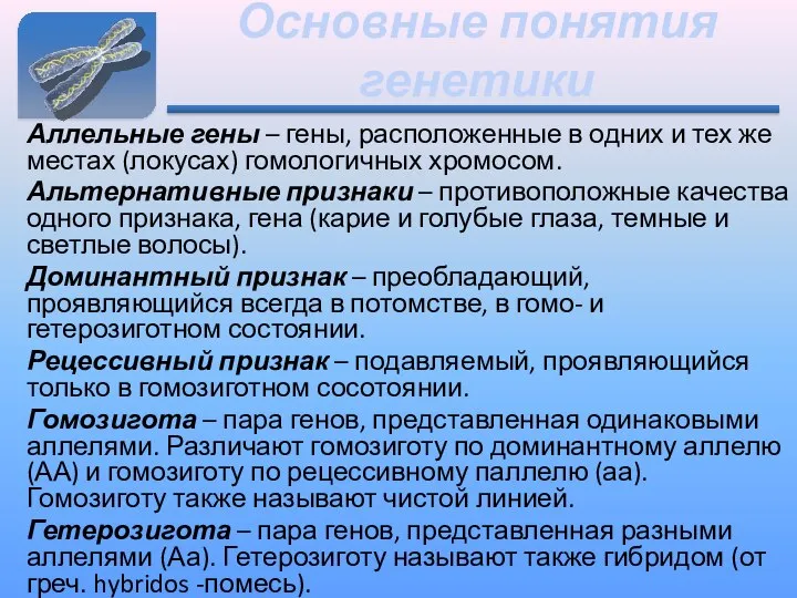 Основные понятия генетики Аллельные гены – гены, расположенные в одних и тех